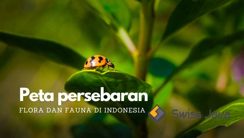 Peta persebaran flora dan fauna di indonesia