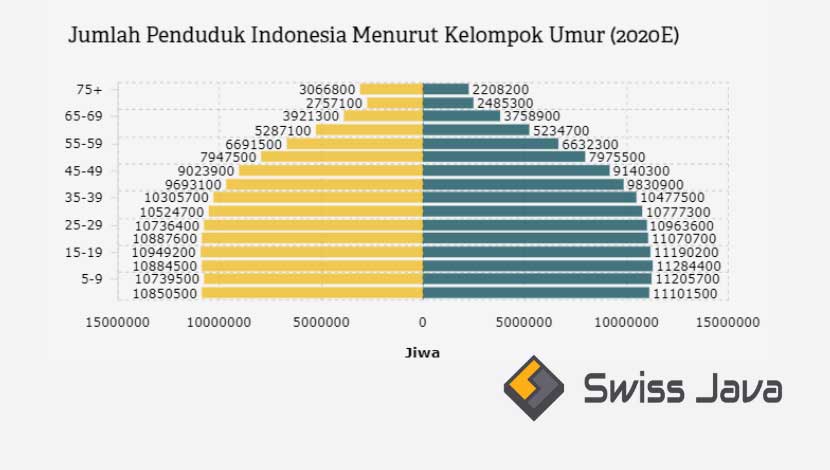 Piramida Penduduk Indonesia 2020